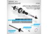 XRay X1 Ball Differential - Set