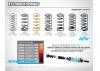 XRay Shock Spring C=3.1 - Black - 4 Dots