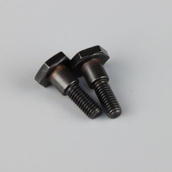 Zenoah Bolt M6x22mm (2 pcs)