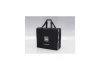 Kyosho Route 246 Carrying Bag F-300