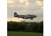 Hangar 9 P-51D Mustang 20cc ARF