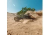 Arrma Vorteks 223S V4