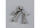 Arrows Hobby Screw set (for P51 850mm)