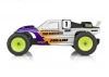 Associated RC10GT Richard Saxton Team Kit