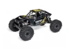 Axial UTB10 Capra RTR