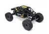 Axial UTB10 Capra RTR
