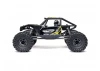 Axial UTB10 Capra RTR