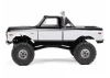 Axial SCX24 1971 Chevrolet C10