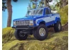 Element Enduro 12 Trail Truck Sendero RTR