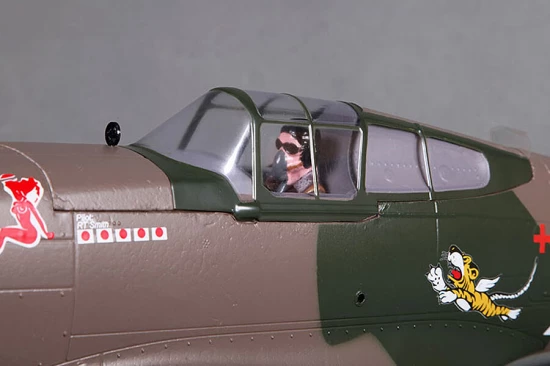 FMS 980mm P-40B Flying Tiger - PNP — image 2 of 12