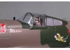FMS 980mm P-40B Flying Tiger - PNP