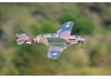 FMS 980mm P-40B Flying Tiger - PNP