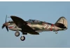 FMS 980mm P-40B Flying Tiger - PNP