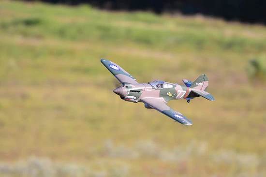 FMS 980mm P-40B Flying Tiger - PNP — image 8 of 12