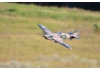 FMS 980mm P-40B Flying Tiger - PNP