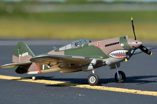 ドラゴン Flying Tigers P-40 Pilot Ben[カスタム品] ドラゴン Flying Tigers P-40 Pilot Ben[カスタム品] Dragon