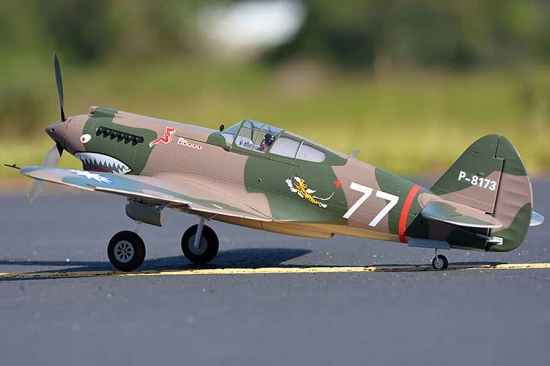 FMS 980mm P-40B Flying Tiger - PNP — image 6 of 12