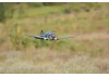 FMS 980mm P-40B Flying Tiger - PNP