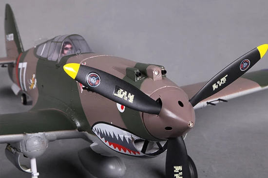 FMS 980mm P-40B Flying Tiger - PNP | Remote Controlled