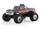 FMS Ford F100 RS