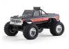 FMS Ford F100 RS