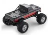 FMS Ford F100 RS