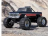 FMS Ford F100 RS
