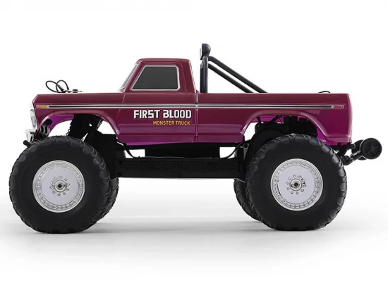 FMS Ford F100 RS