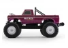FMS Ford F100 RS