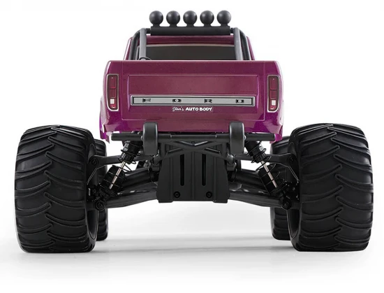 FMS Ford F100 RS