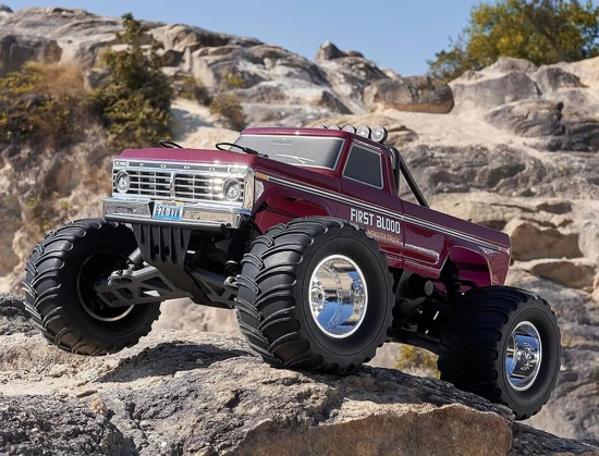 FMS Ford F100 RS
