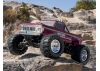 FMS Ford F100 RS