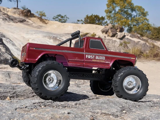 FMS Ford F100 RS