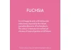 Guild Lane Bleo Gel Paint, Fuchsia (250ml)