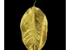 Guild Materials GILD Gilding Enamel Paint, Gold (60ml Jar)