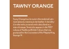 Guild Lane Jubilee Maker Paint, Tawny Orange (500ml)