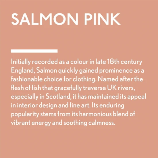 Guild Lane Jubilee Maker Paint (CC-22), Salmon Pink (500ml)