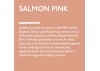 Guild Lane Jubilee Maker Paint (CC-22), Salmon Pink (500ml)