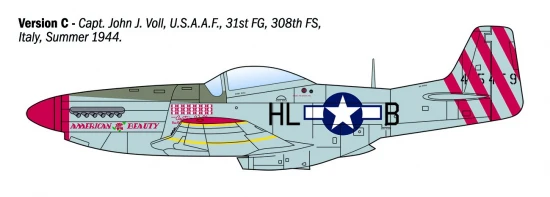 Italeri P-51D Mustang Aces