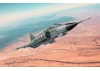 Italeri Mirage III C O E
