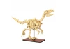Tray of 3 Dinosaur Eggs with Stegosaurus - Triceratops & Velociraptor