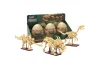 Tray of 3 Dinosaur Eggs with Stegosaurus - Triceratops & Velociraptor