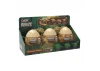 Tray of 3 Dinosaur Eggs with Stegosaurus - Triceratops & Velociraptor