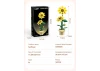 Sunflower Building Block Planter - 187 pcs