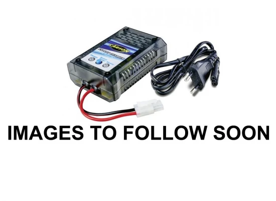 ANSMANN Expert Charger NiMH 2A