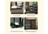 Shell Select Coffee Shop Café - 351 pcs