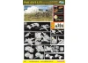 Dragon 1/35 Pak 43/3 L/71 Belhelfs Discc