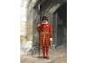 Yeoman Warder “Beefeater”