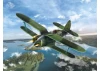 I-153 Chaika - WWII Soviet Fighter Plane