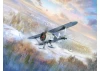 I-153 (Winter Version) - WWII Soviet Fighter Plane